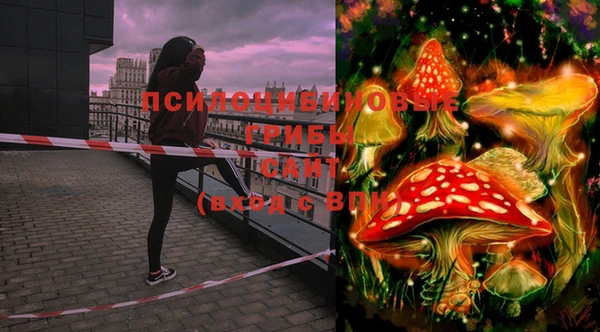 тгк Бронницы