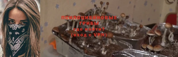 ALPHA PVP Верея