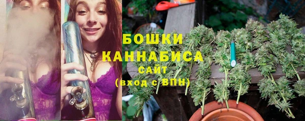 амф Бородино