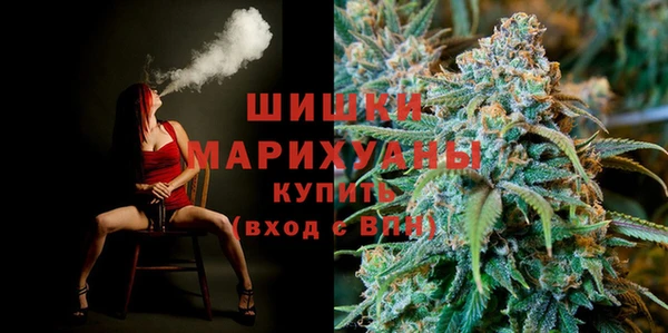 амф Бородино