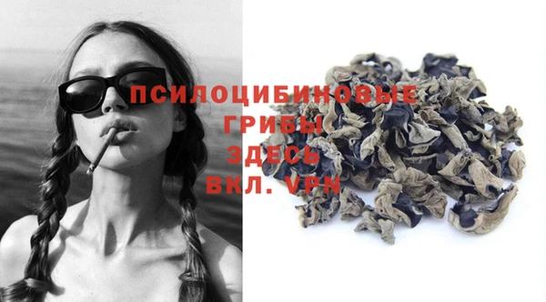 амф Бородино