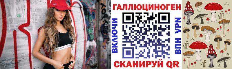 кракен как войти  Луза  Галлюциногенные грибы MAGIC MUSHROOMS 